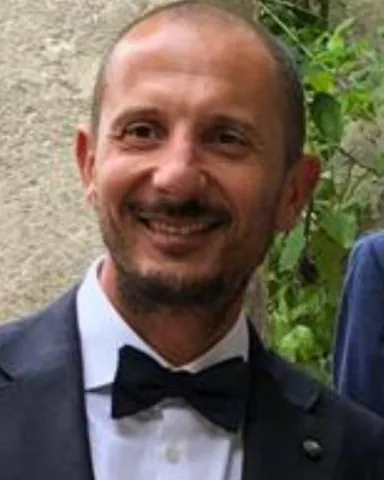 Daniele Stella, Kronos Consulting